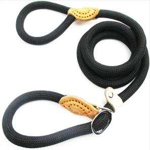 Dog Leash Slip Rope Lead Leash