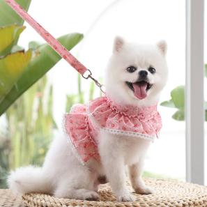 Dog Dress Harness Vest with Leash