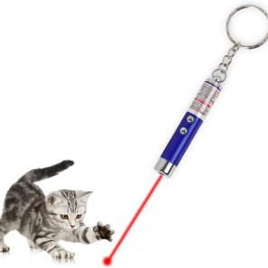 2-in-1 Cat Pet Toy Red Laser Light 