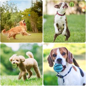 Dog Teething Toy Balls