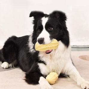 Peanut Shape Dog Chew Toys Toothbrush